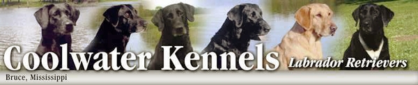 Coolwater Kennels